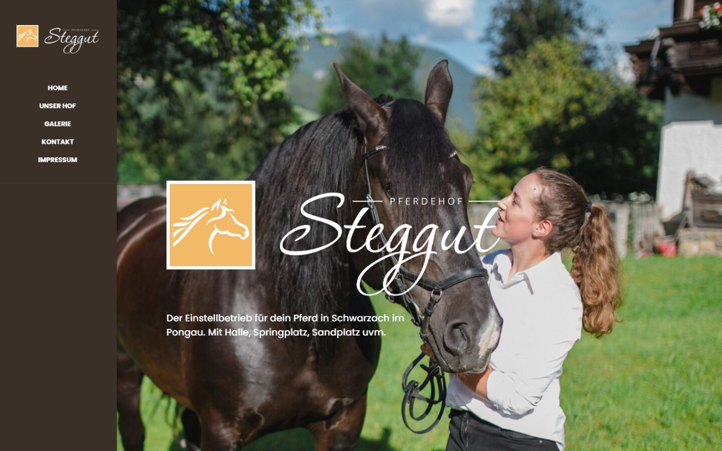 Screenshot der Webseite steggut.at